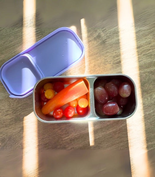 Stainless steel Leakproof  Snack box